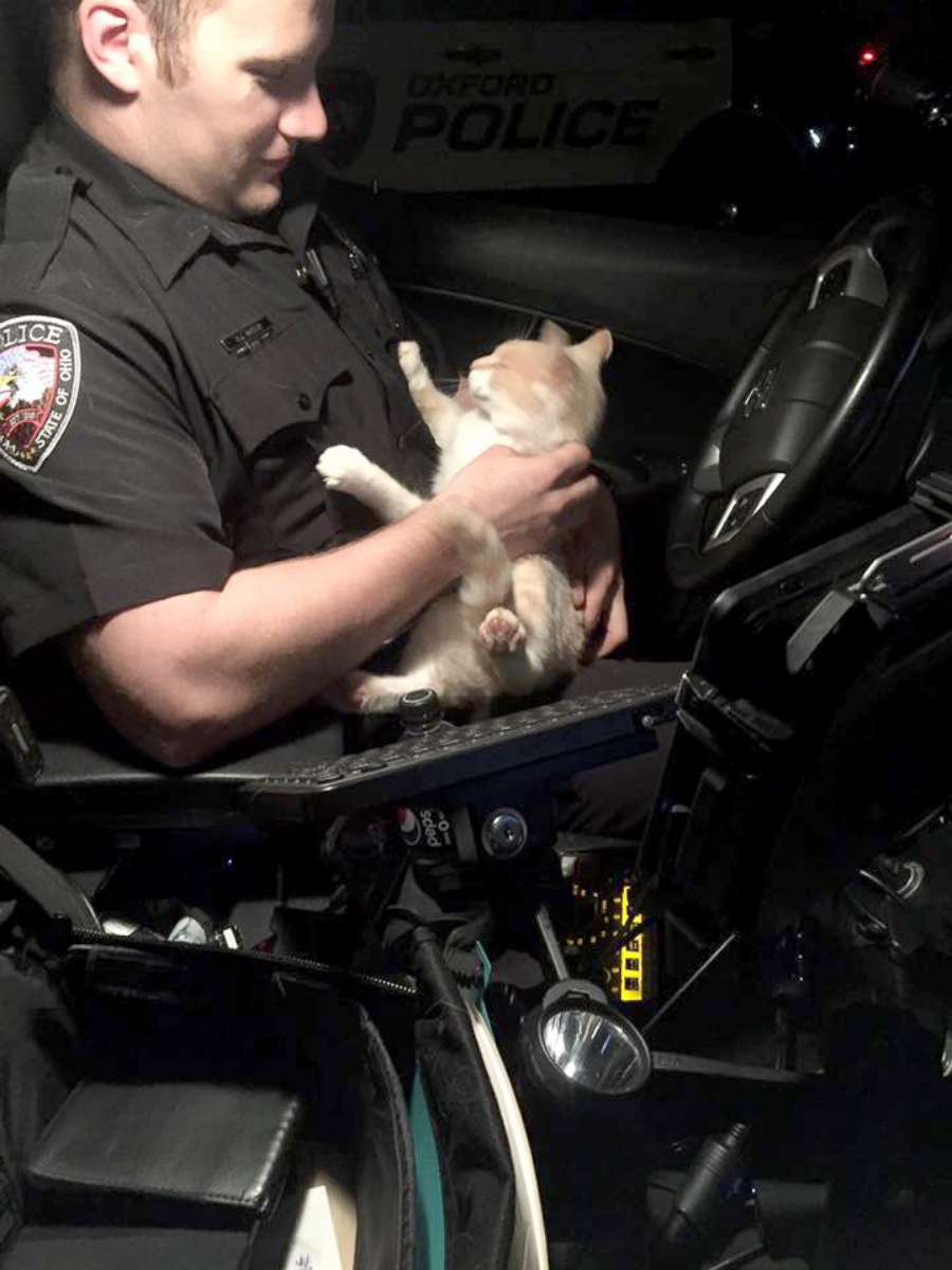 2 police officers have funny encounters with a cat and raccoon
