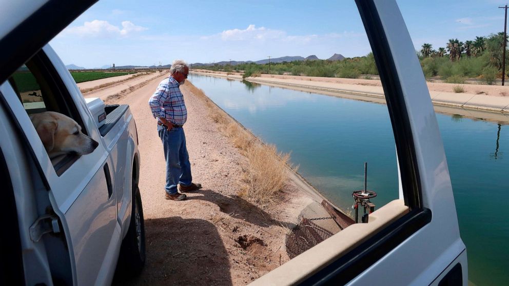 PHOTO: Paul "Paco" Ollerton and his dog, Aggie, look toward the canal system that delivers Colorado River water to his farm near Casa Grande, Ariz., July 20, 2021. 