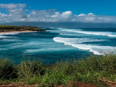 <div></noscript>Man dies after shark encounter at Maui's Paia Bay: Officials</div>