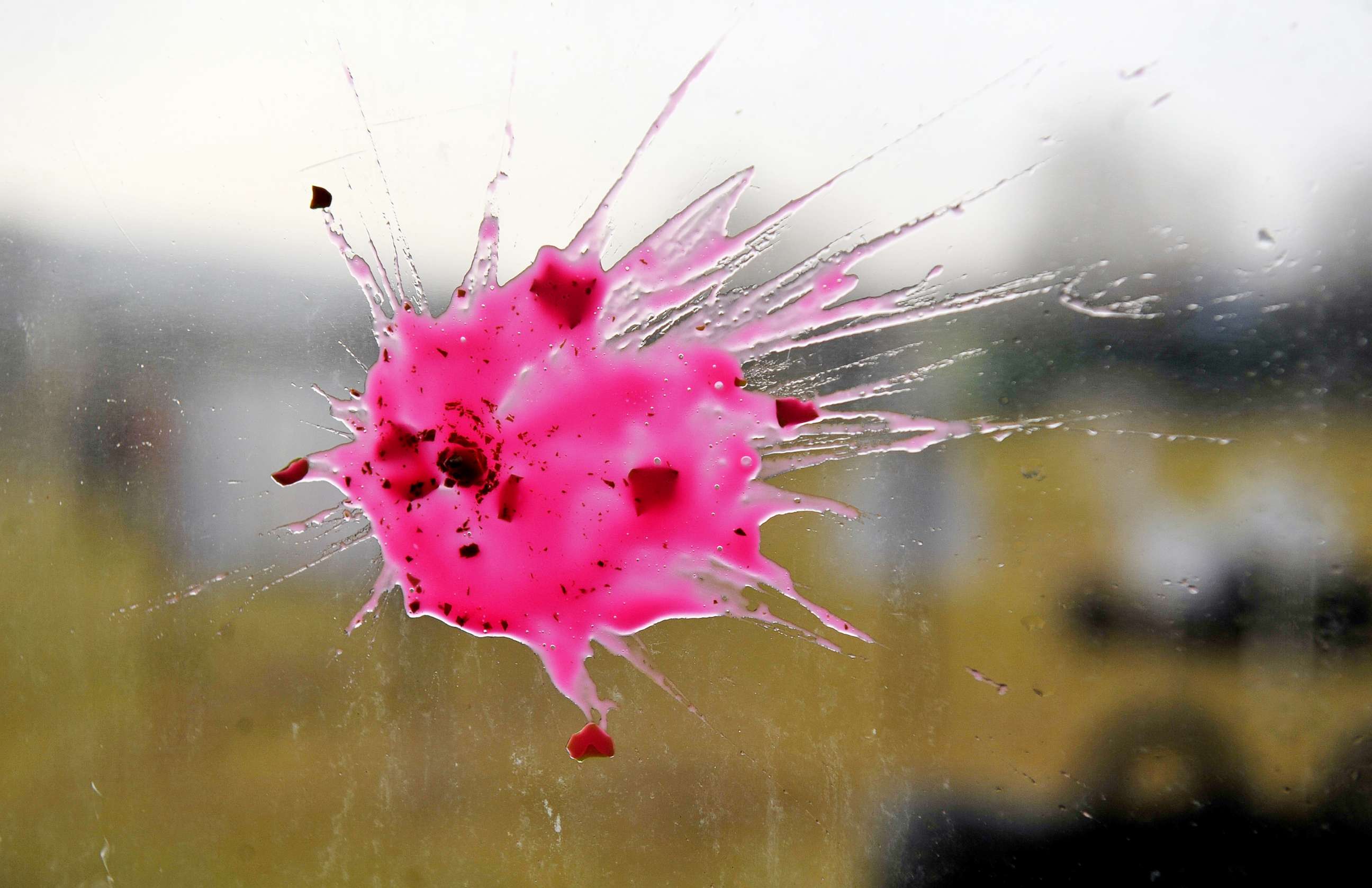 PHOTO: A Paint ball bullet is pictured from a bus window on Dec. 4, 2011.