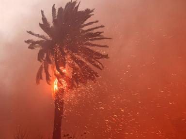 Los Angeles wildfires timeline: How the deadly blazes unfolded