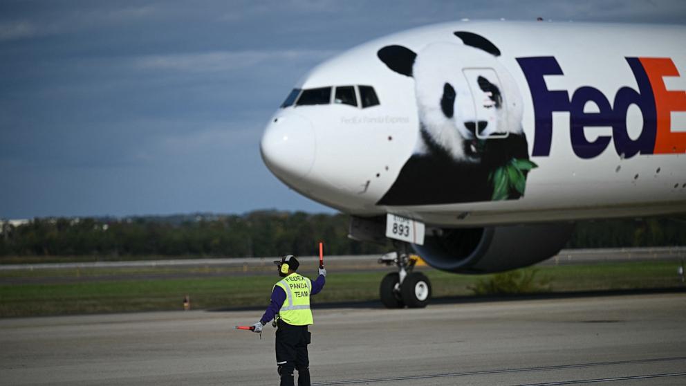 PHOTO: A cargo jet operated by FedEx transporting two giant pandas, lands at Dulles airport in Virginia on October 15, 2024. 