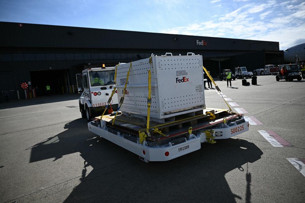 PHOTO: Two giant pandas arrives at Dulles airport in Virginia on October 15, 2024.