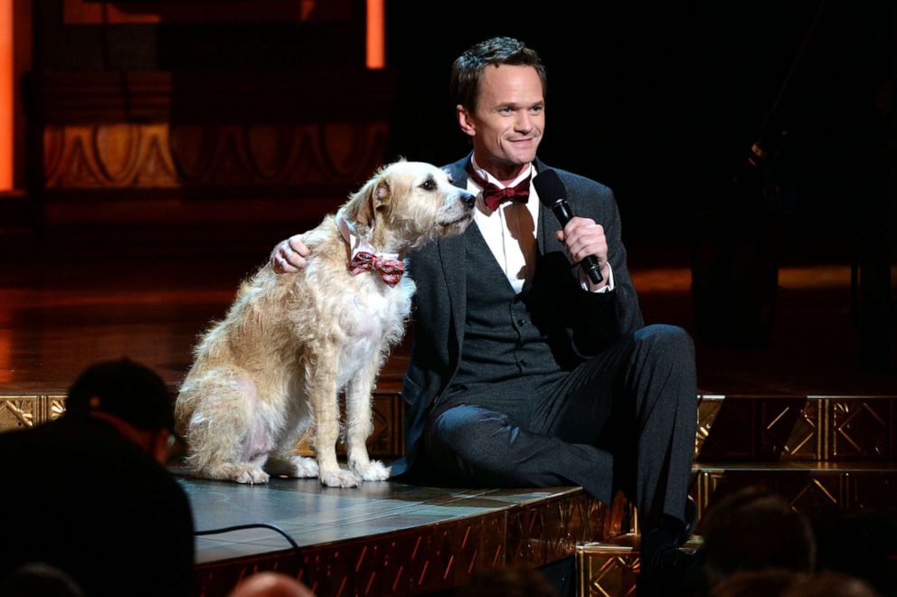 Neil Patrick Harris Rocks Fuzzy Bra for Hasty Pudding Ceremony