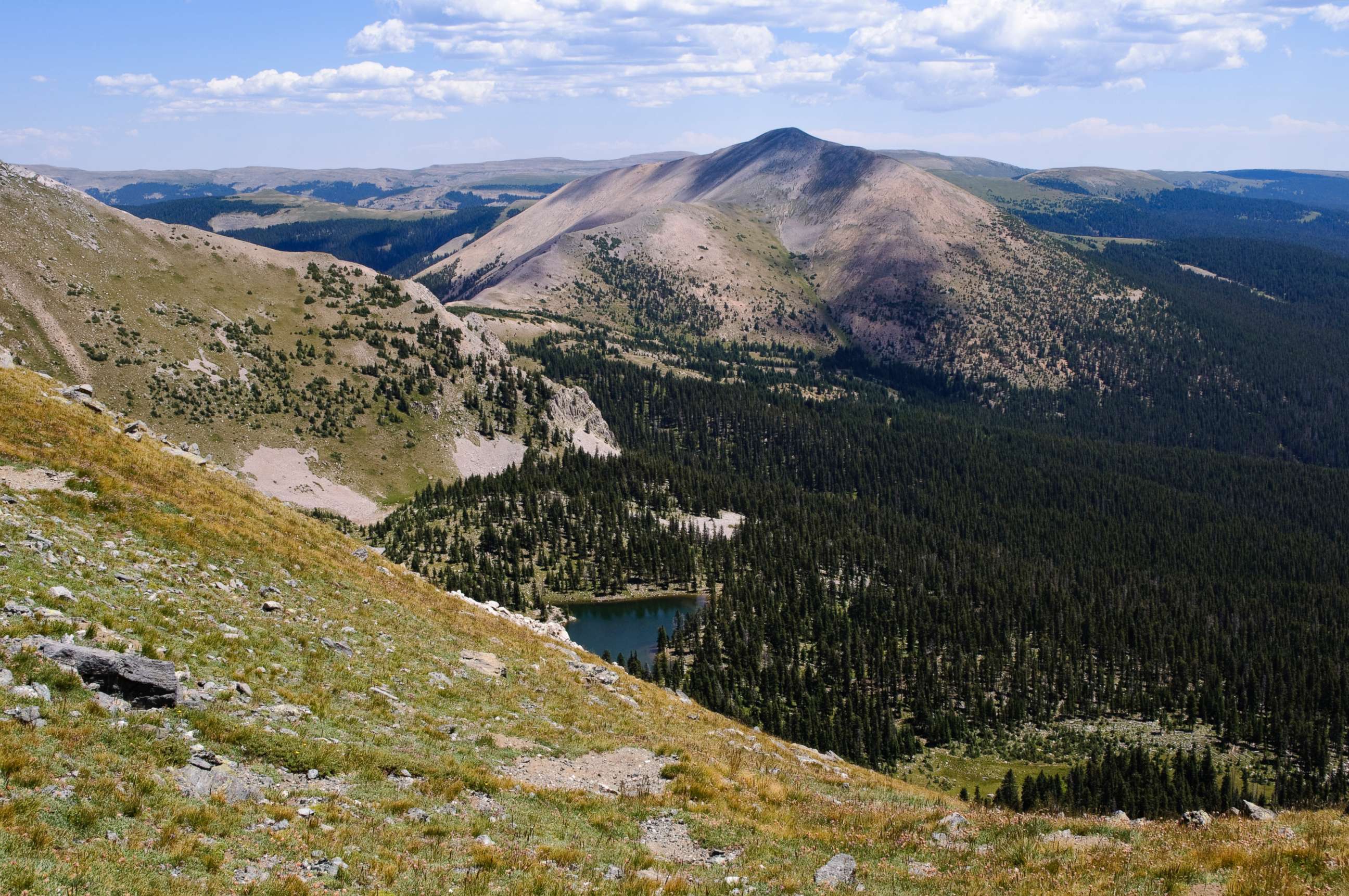 PHOTO: The Pecos Wilderness is seen in New Mexico.