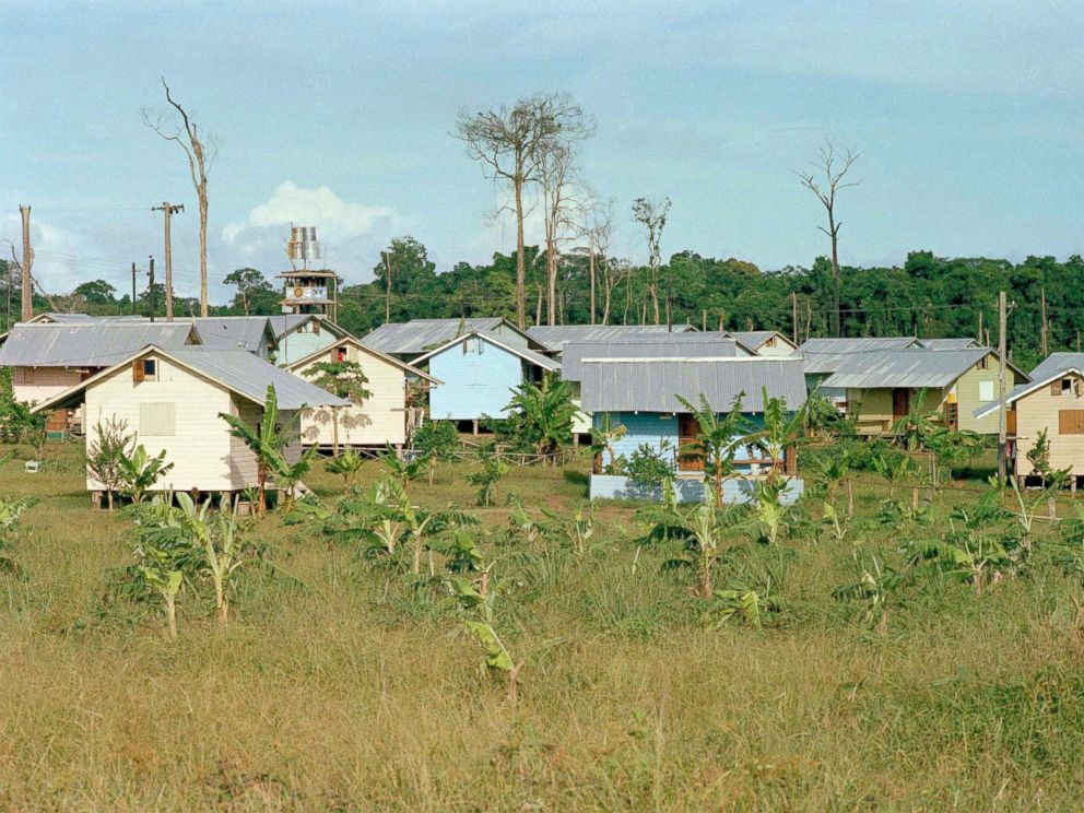 jonestown paradise lost