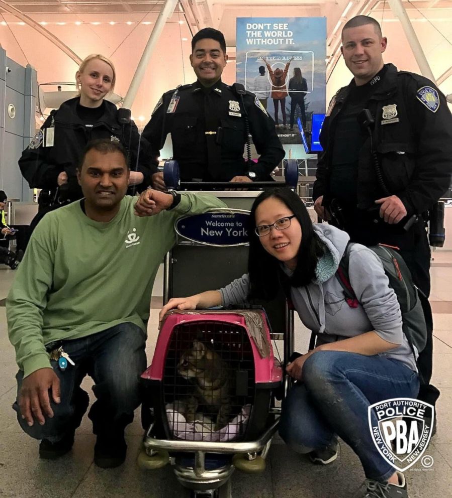 Pepper was captured by Port Authority police after a week roaming Terminal 4 of JFK Airport and is now being cared for by her owner's friend, Nuan Lang, bottom right.