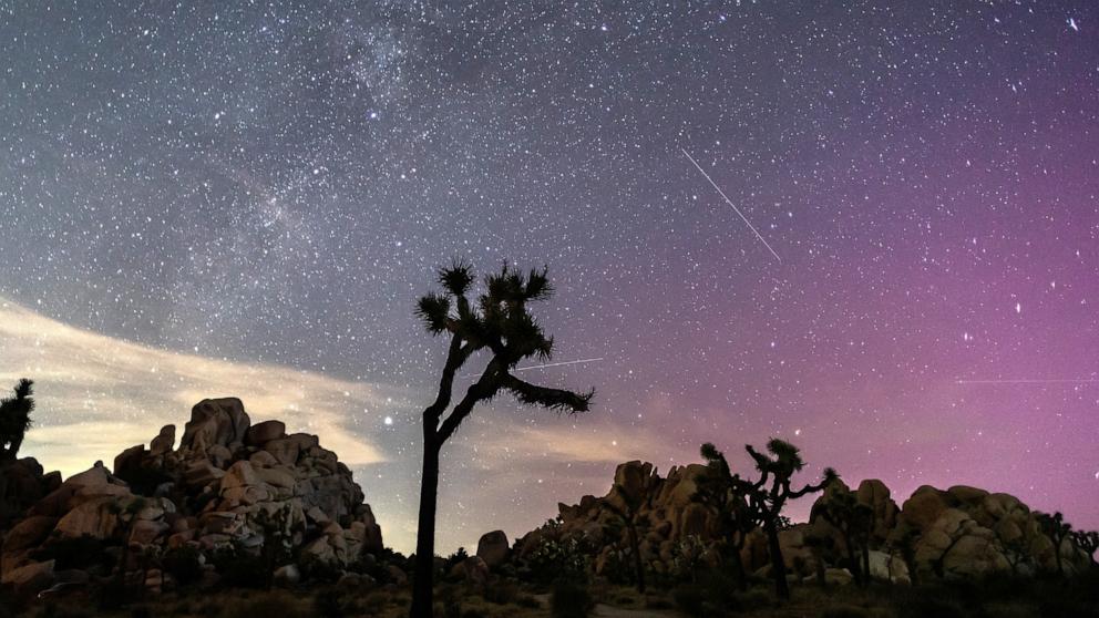 PHOTO: Northern Lights (Aurora Borealis) illuminate the sky above Joshua Tree National Park during the Perseids Meteor shower in Joshua Tree, California, early on August 12, 2024.