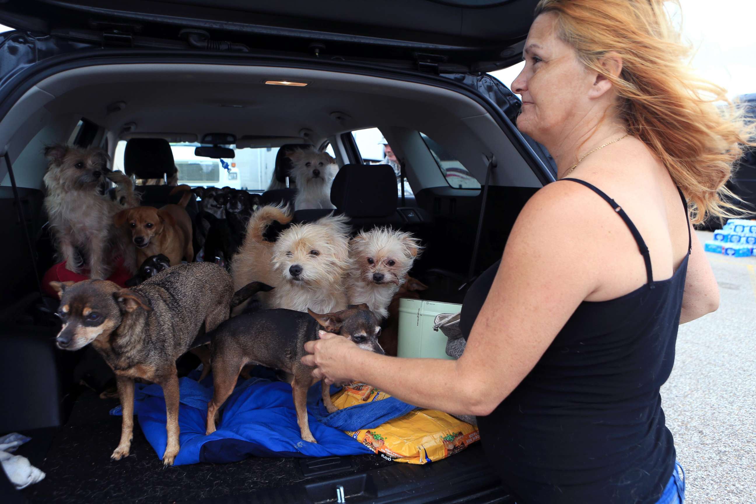 PHOTO: Pamela Hyatt of Rockport with her dogs after Hurricane Harvey devastated the Coastal city, Aug. 27, 2017, in Rockport, Tx.