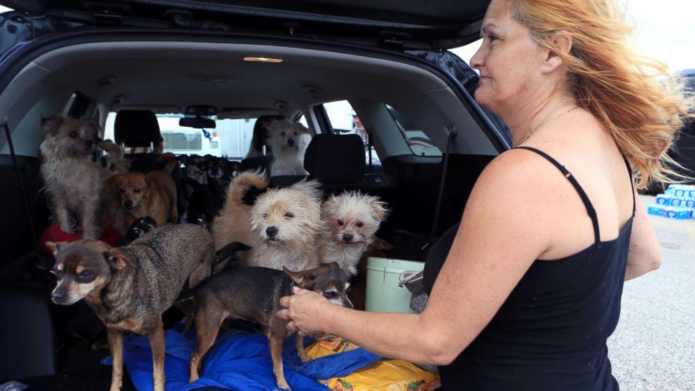 PHOTO: Pamela Hyatt of Rockport with her dogs after Hurricane Harvey devastated the Coastal city, Aug. 27, 2017, in Rockport, Tx.