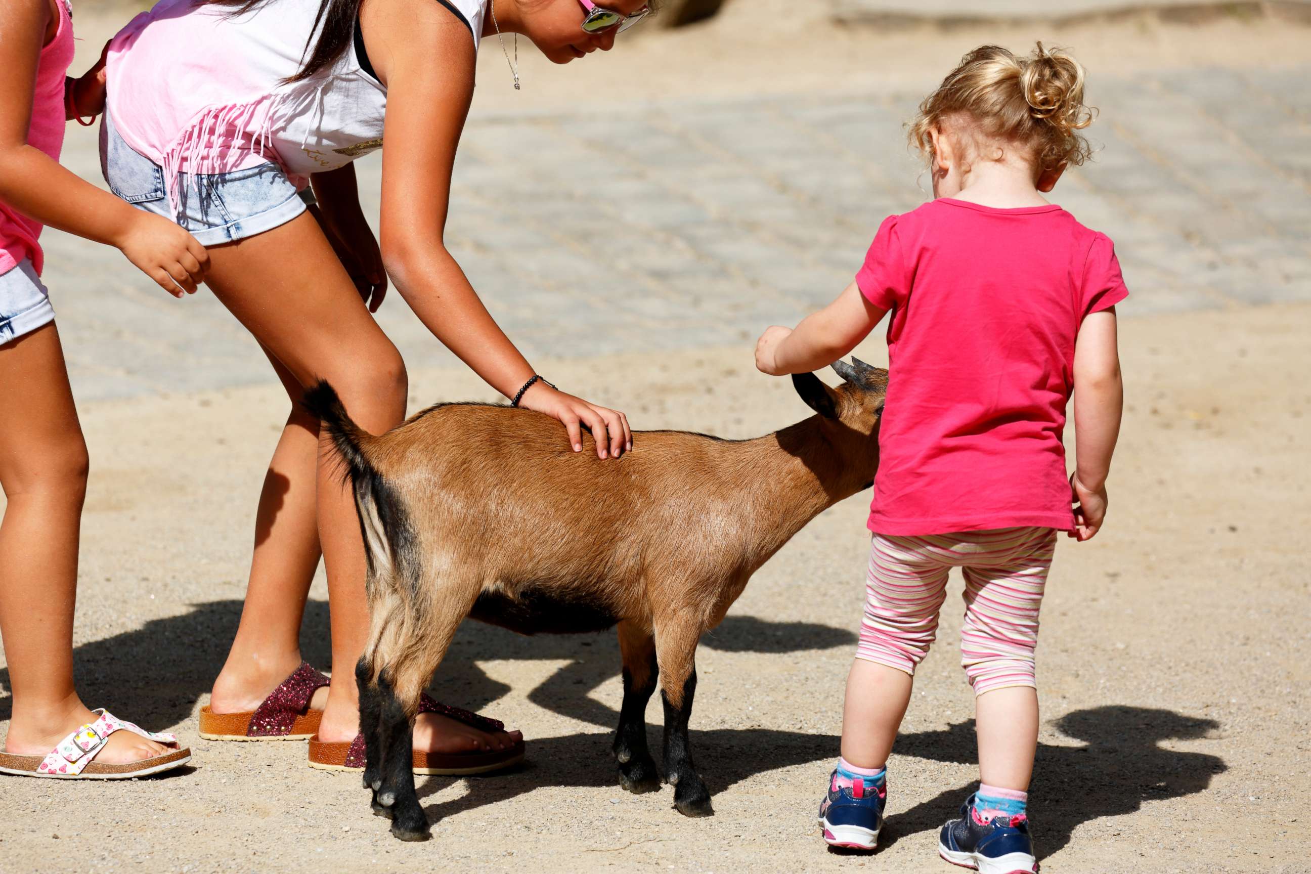 PHOTO: Children pet a goat at a petting zoo in Germany, Aug. 23, 2017.