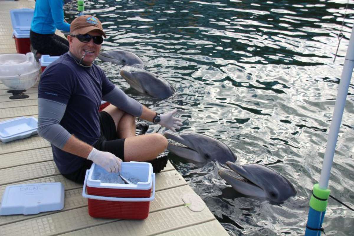 PHOTO: Phillip Admire, director of zoology at Island Dolphin Care in Key Largo, Florida, braved Hurricane Irma to care for the 8 dolphins that are housed at his non-profit facility. 
