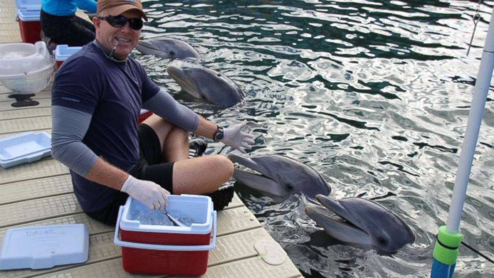 PHOTO: Phillip Admire, director of zoology at Island Dolphin Care in Key Largo, Florida, braved Hurricane Irma to care for the 8 dolphins that are housed at his non-profit facility. 
