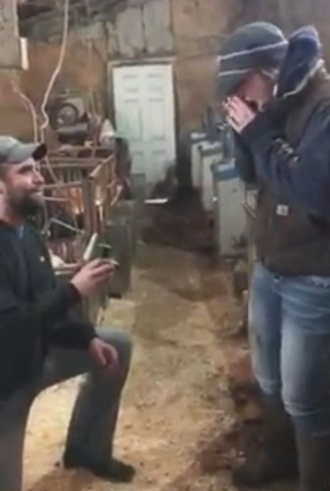 PHOTO: Benjamin Shivers proposed to his girlfriend with piglets.