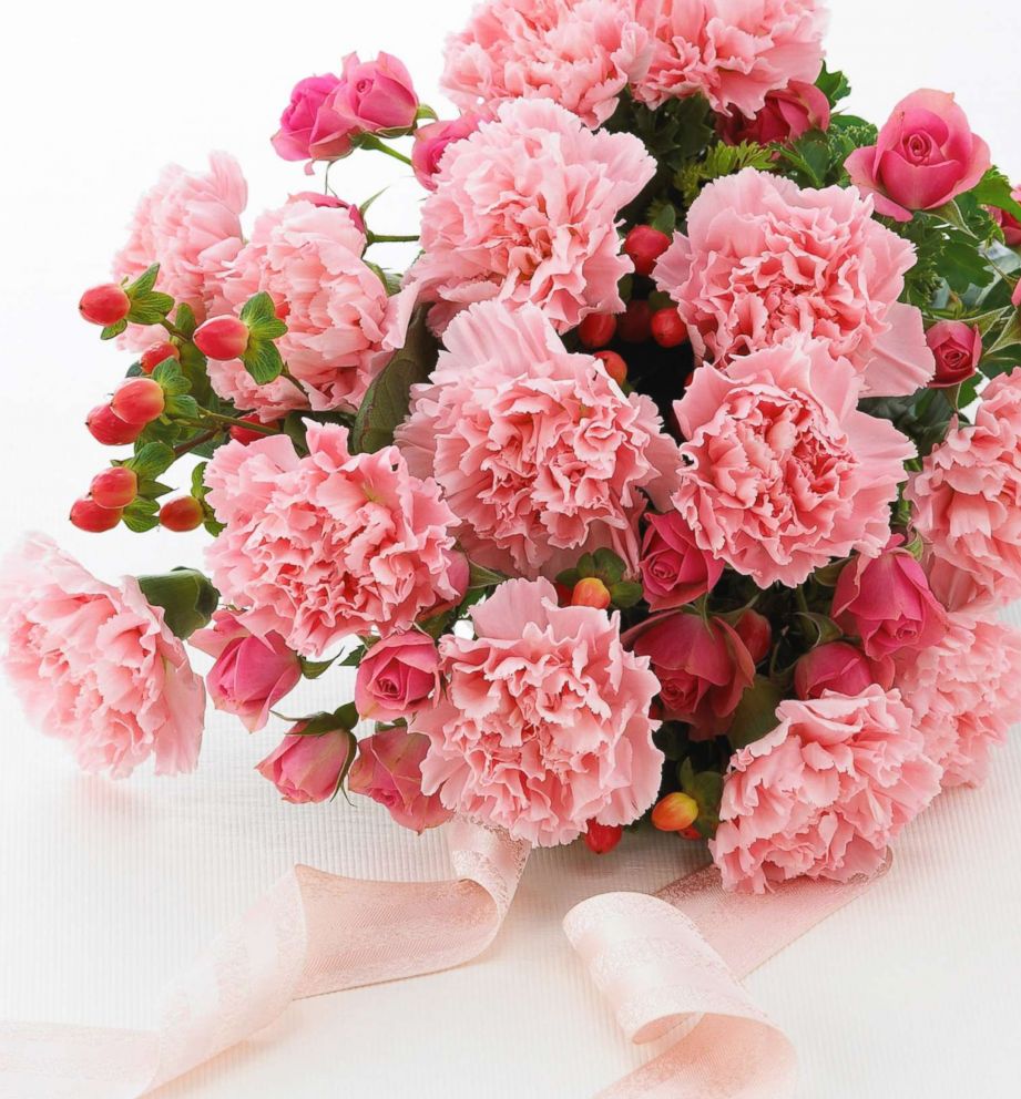 PHOTO: Bouquet of pink carnations sits on the table with a pink ribbon. 