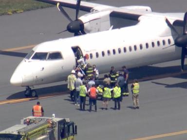 Passengers restrain pilot during apparent medical emergency on 'terrifying' flight