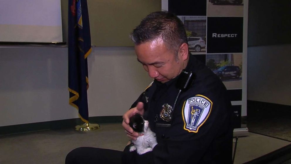 PHOTO: The Troy Police Department in Michigan put out an all-points bulletin on Twitter hoping to reach 10,000 followers by April in order to get their own crime-fighting police cat.
