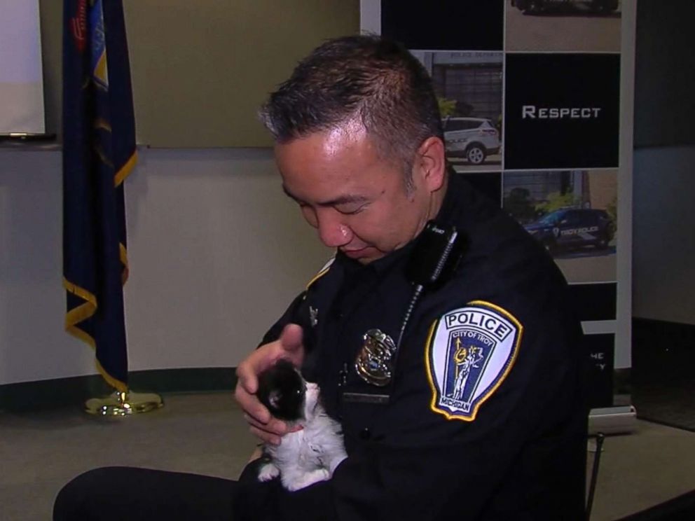 PHOTO: The Troy Police Department in Michigan put out an all-points bulletin on Twitter hoping to reach 10,000 followers by April in order to get their own crime-fighting police cat.
