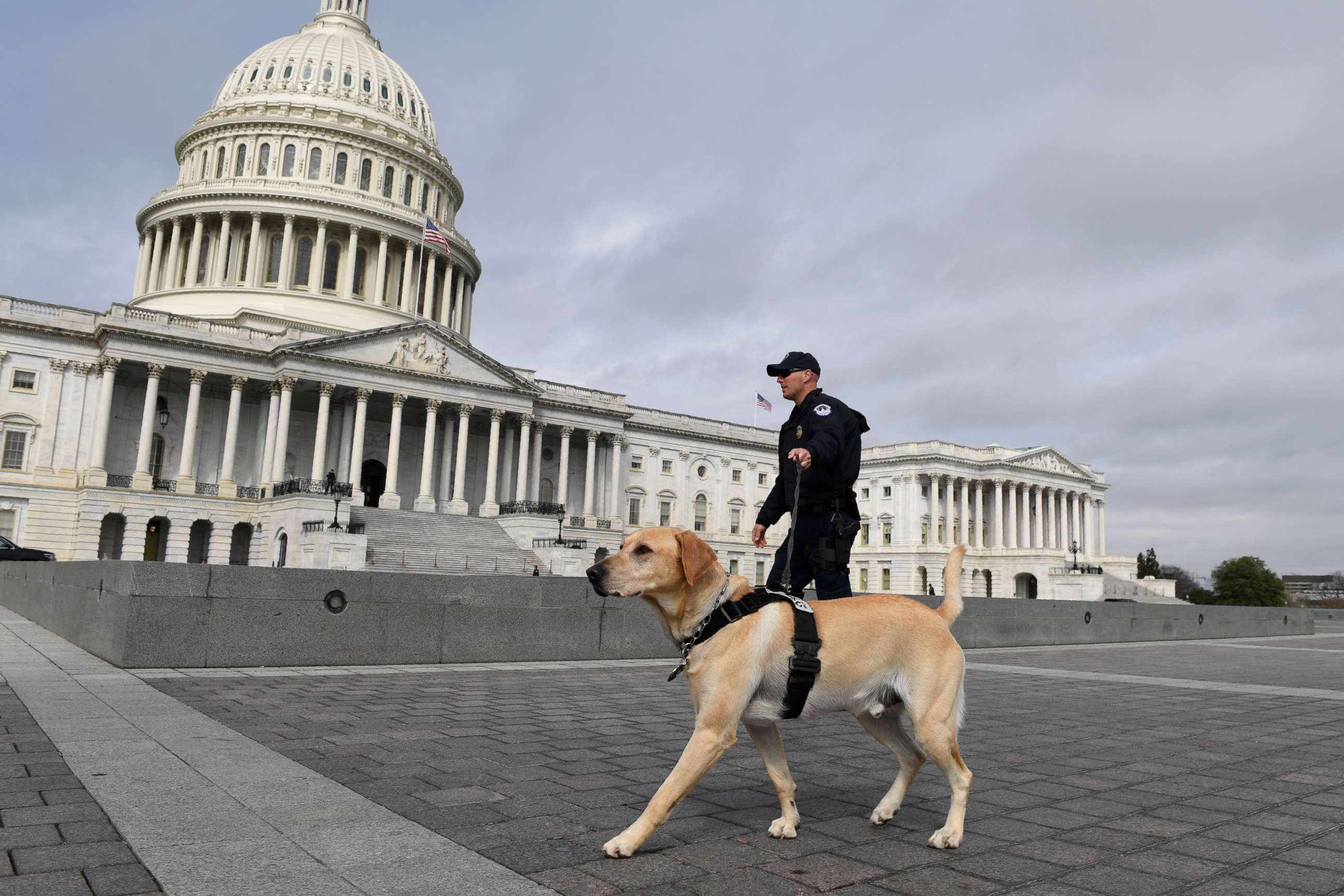 PHOTO: A Capitol Hill police officer and his dog patrol Capitol Hill in Washington, March 17, 2020.