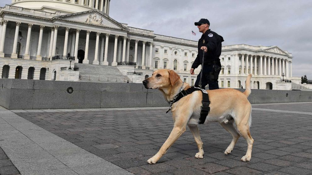 PHOTO: A Capitol Hill police officer and his dog patrol Capitol Hill in Washington, March 17, 2020.