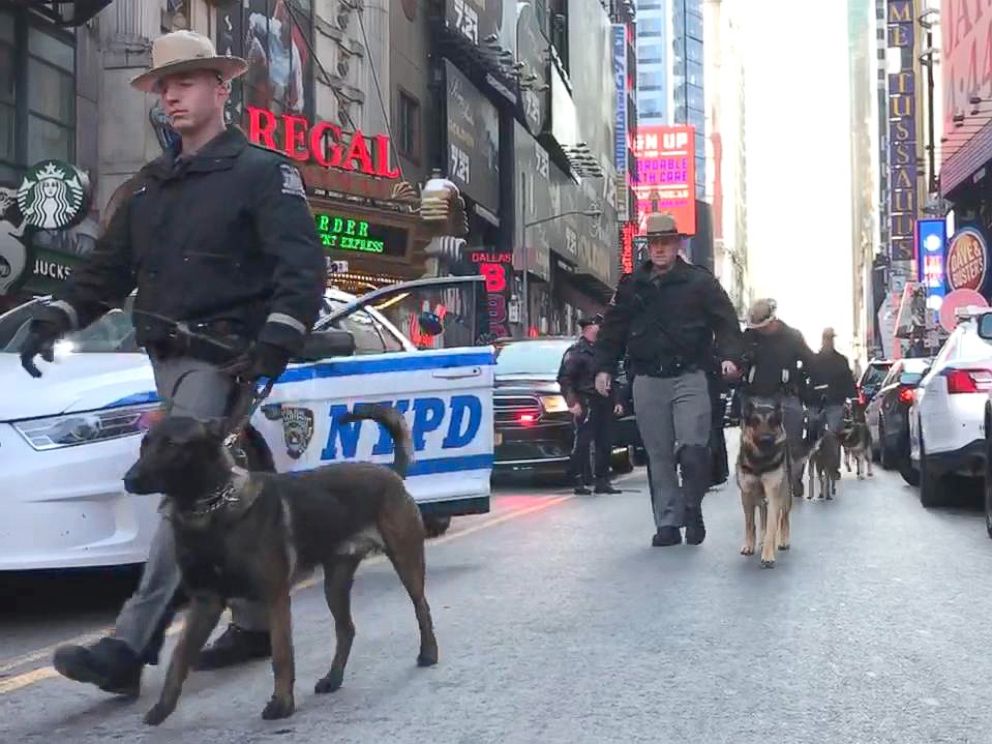 PHOTO: Police dogs marching from Times Square to Port Authority, Dec. 11, 2017, in New York City.