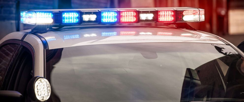 PHOTO:police lights in an undated photo.