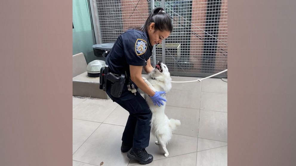 PHOTO: In this photo posted to the to the NYPD 19th Precint's Twitter account, Officer Manaraj is shown with the rescued dog. Officer Manaraj helped rescue the pup and has now adopted the animal.
