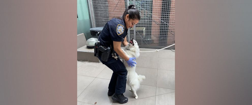 PHOTO: In this photo posted to the to the NYPD 19th Precint's Twitter account, Officer Manaraj is shown with the rescued dog. Officer Manaraj helped rescue the pup and has now adopted the animal.