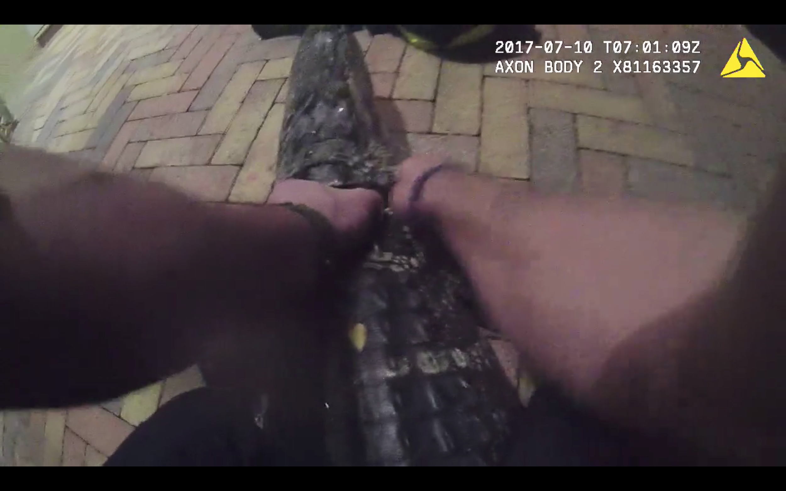 PHOTO: Body cam footage shows Boynton Beach Police officer Alfredo Vargas wrestling an alligator on a front porch in Hollywood, Fla. 