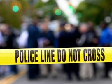 More than 20 injured after car drives into Christmas parade in Wisconsin: Police