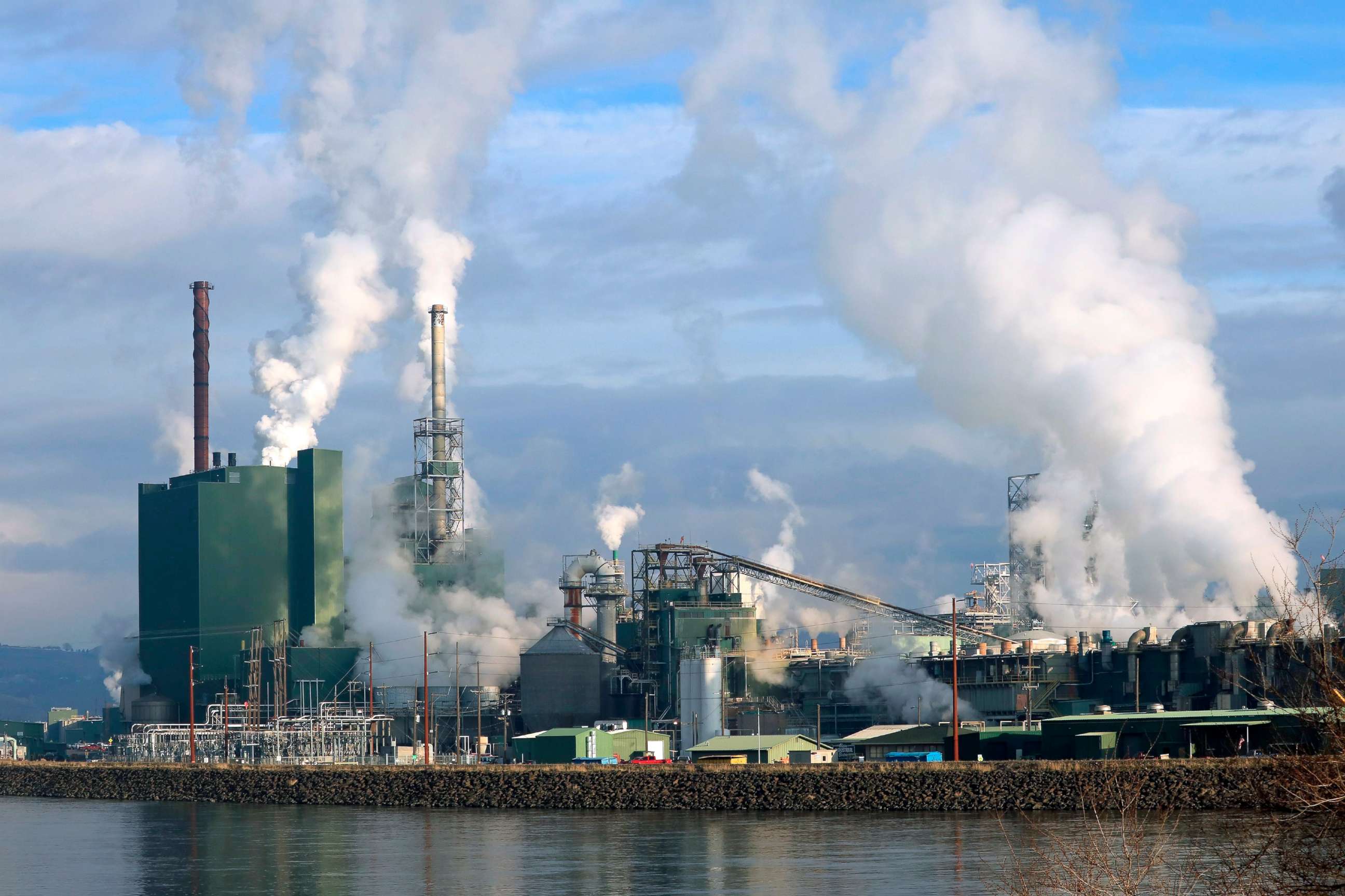 PHOTO: An industrial pulp mill facility operates along a river.