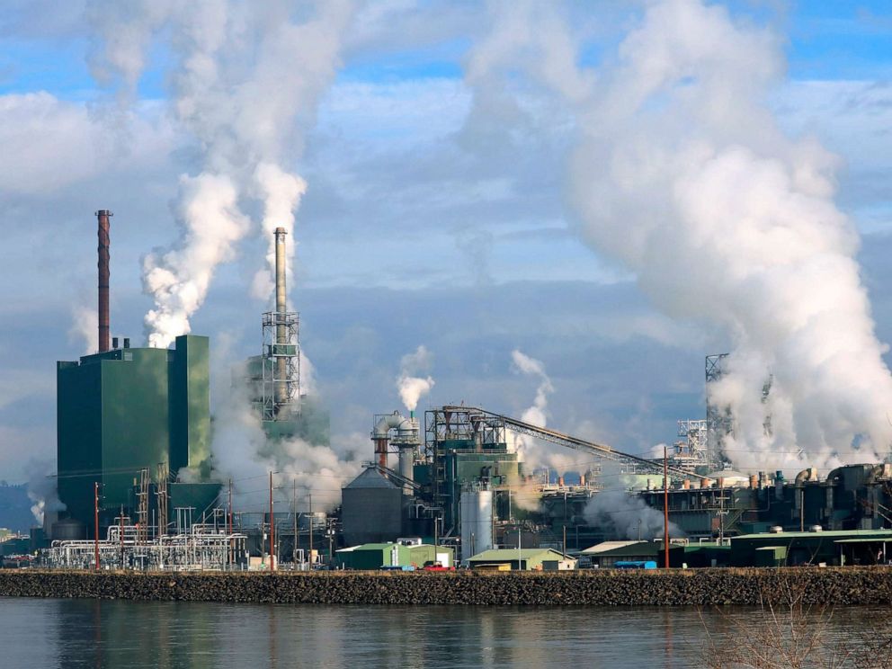 PHOTO: An industrial pulp mill facility operates along a river.