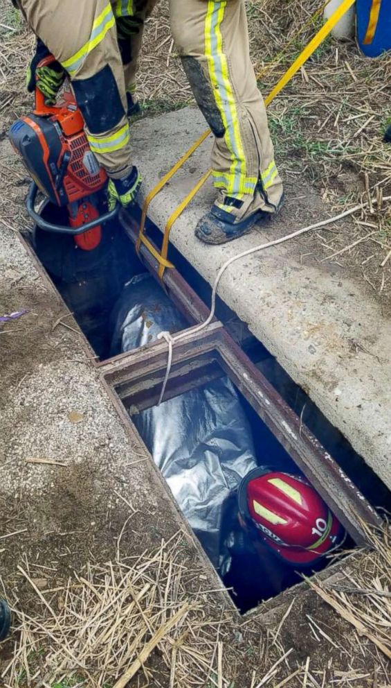 PHOTO: Houston firefighters rescue a pony in Houston, Oct. 17, 2018. BARC shelter is currently examining the animal.