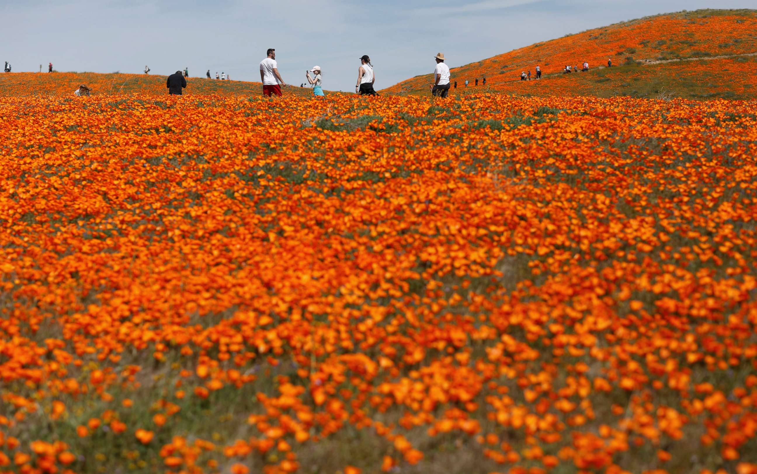 PHOTO: Visitors walk through the Antelope Valley California Poppy Reserve in Lancaster, California, March 26, 2019.