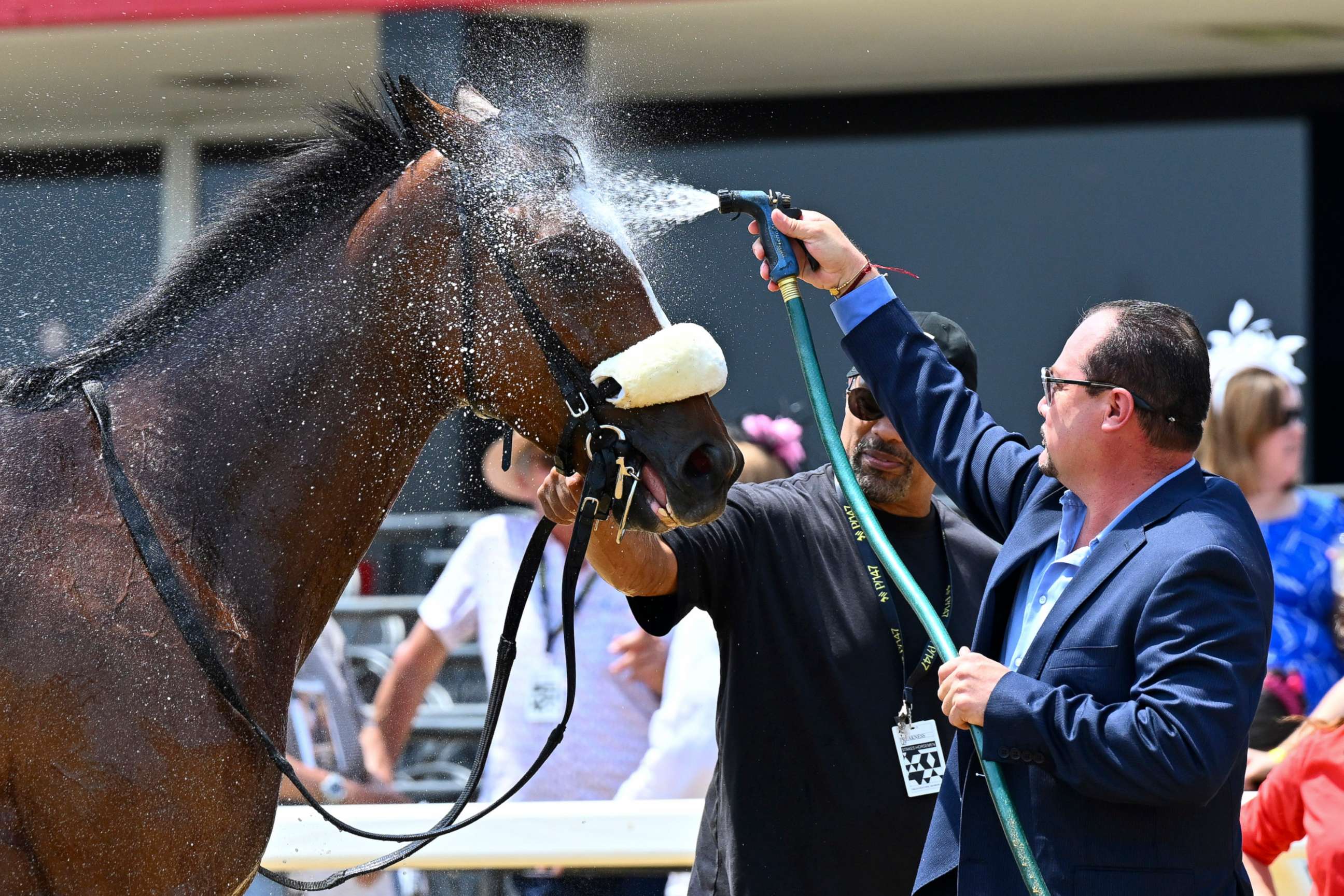 PHOTO: A horse is doused after competing in a turf race prior to the 147th running of the Preakness Stakes horse race at Pimlico Race Course, May 21, 2022, in Baltimore.
