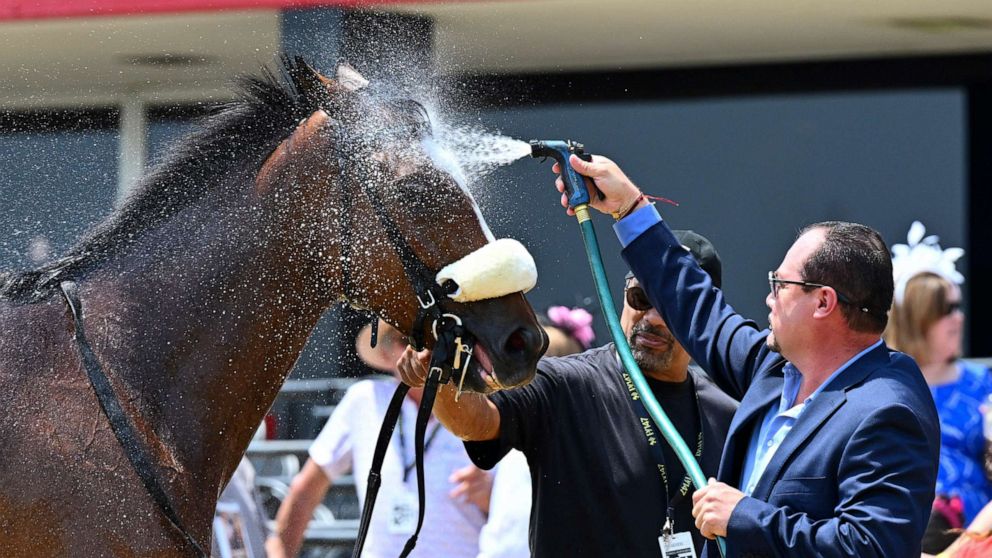 PHOTO: A horse is doused after competing in a turf race prior to the 147th running of the Preakness Stakes horse race at Pimlico Race Course, May 21, 2022, in Baltimore.
