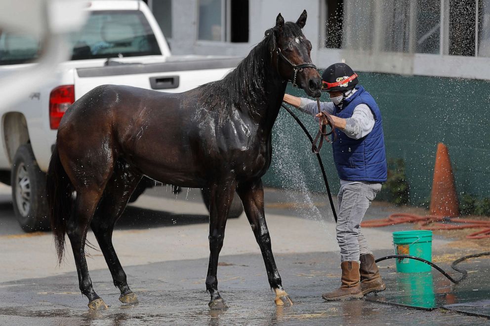 PHOTO: An exercise rider sprays water on a horse after a workout at Pimlico Race Course, Friday, May 15, 2020, in Baltimore.