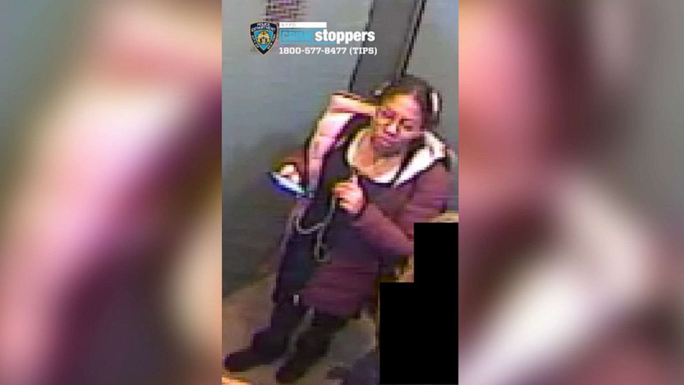 Woman Assaults Robs Pregnant Woman In The Bronx Abc News