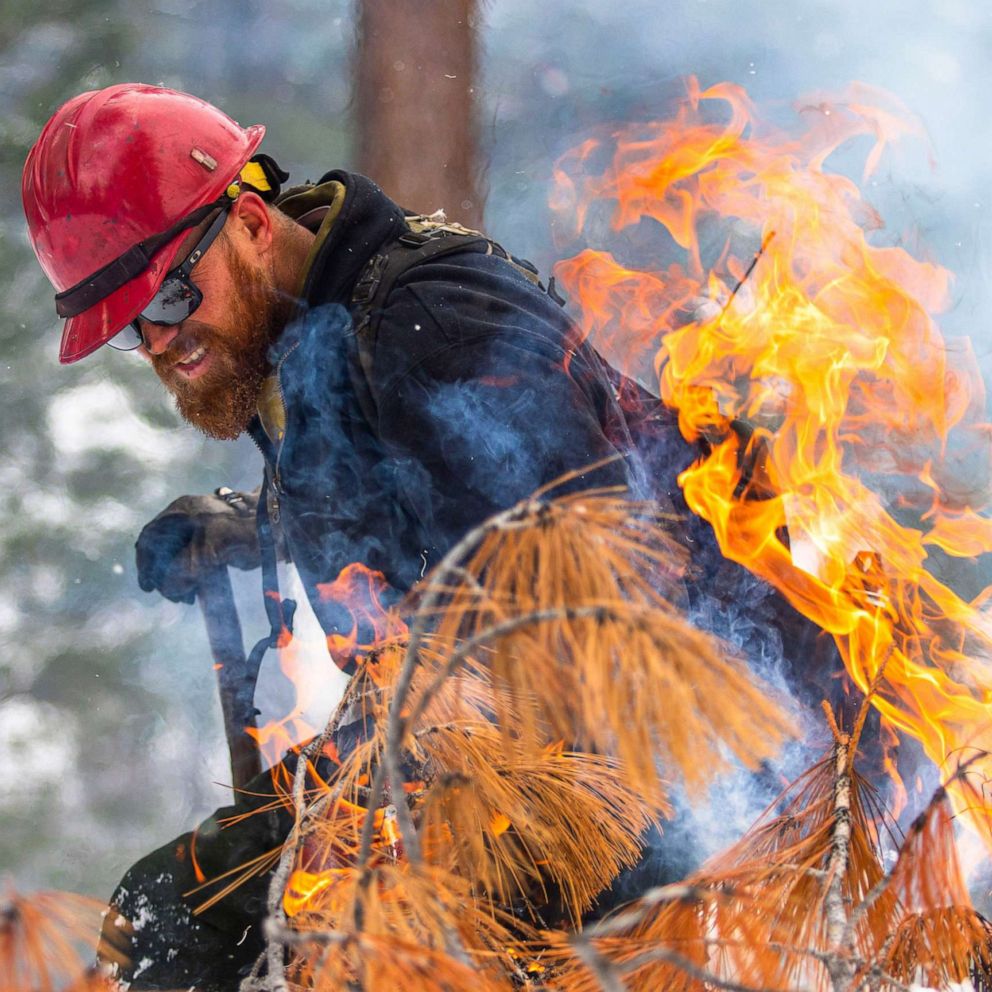 The world is on fire and our leaders are failing, poll finds - POLITICO