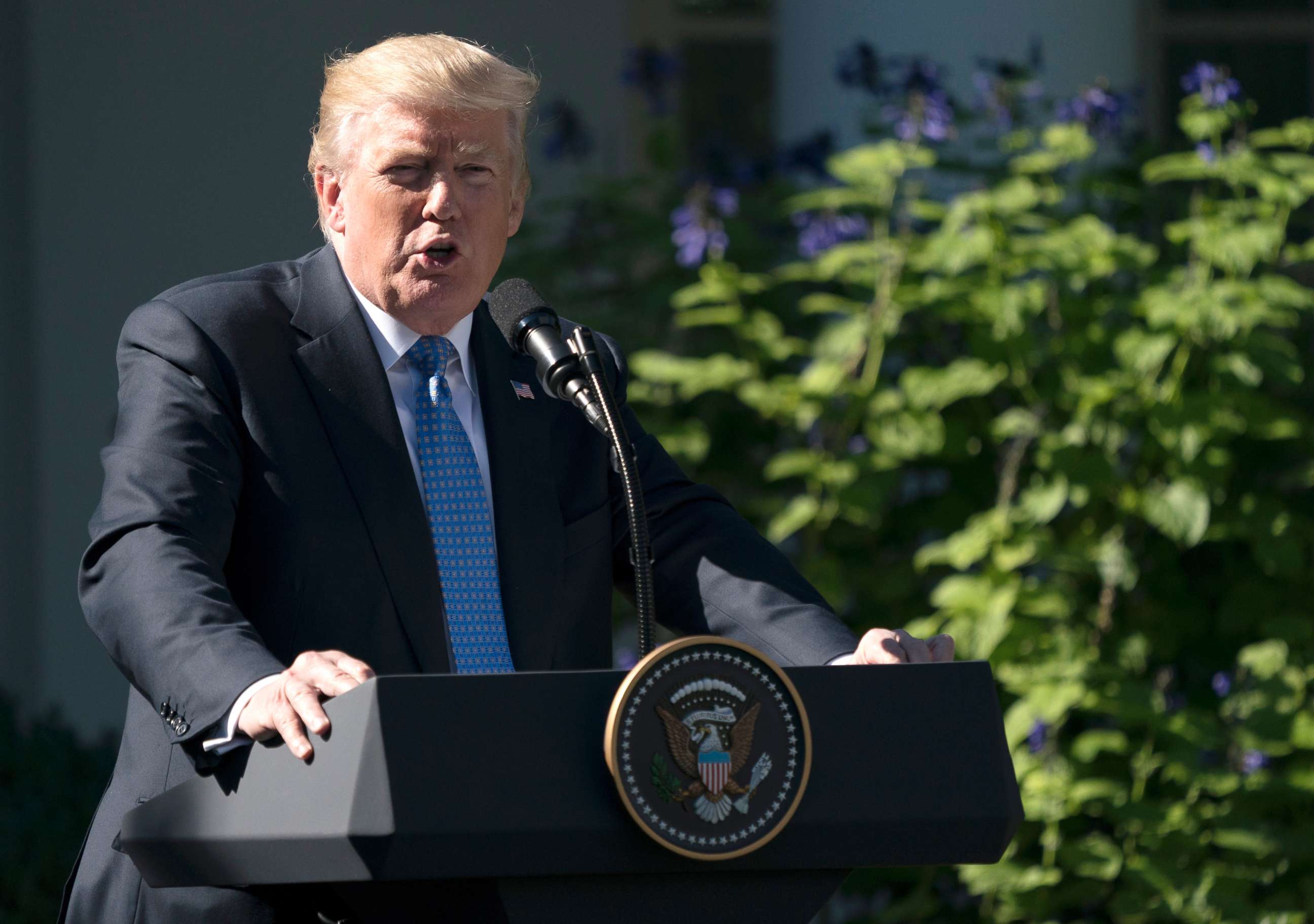 PHOTO: President Donald Trump speaks during a news conference with Greek Prime Minister Alexis Tsipras in the Rose Garden of the White House in Washington, Oct. 17, 2017. 