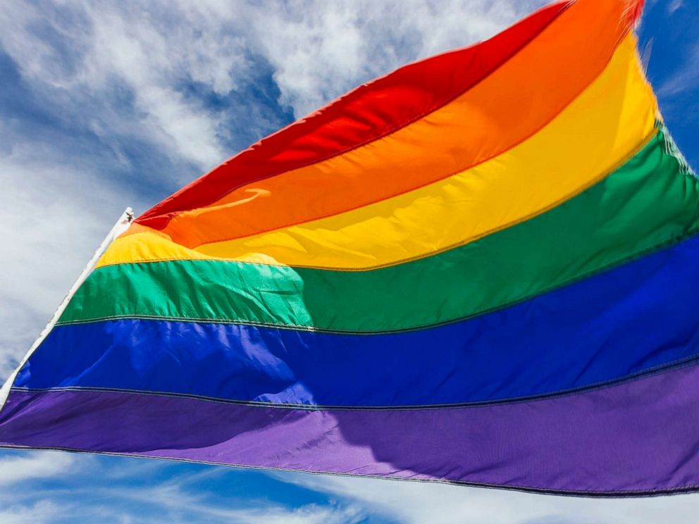 the gay flag.