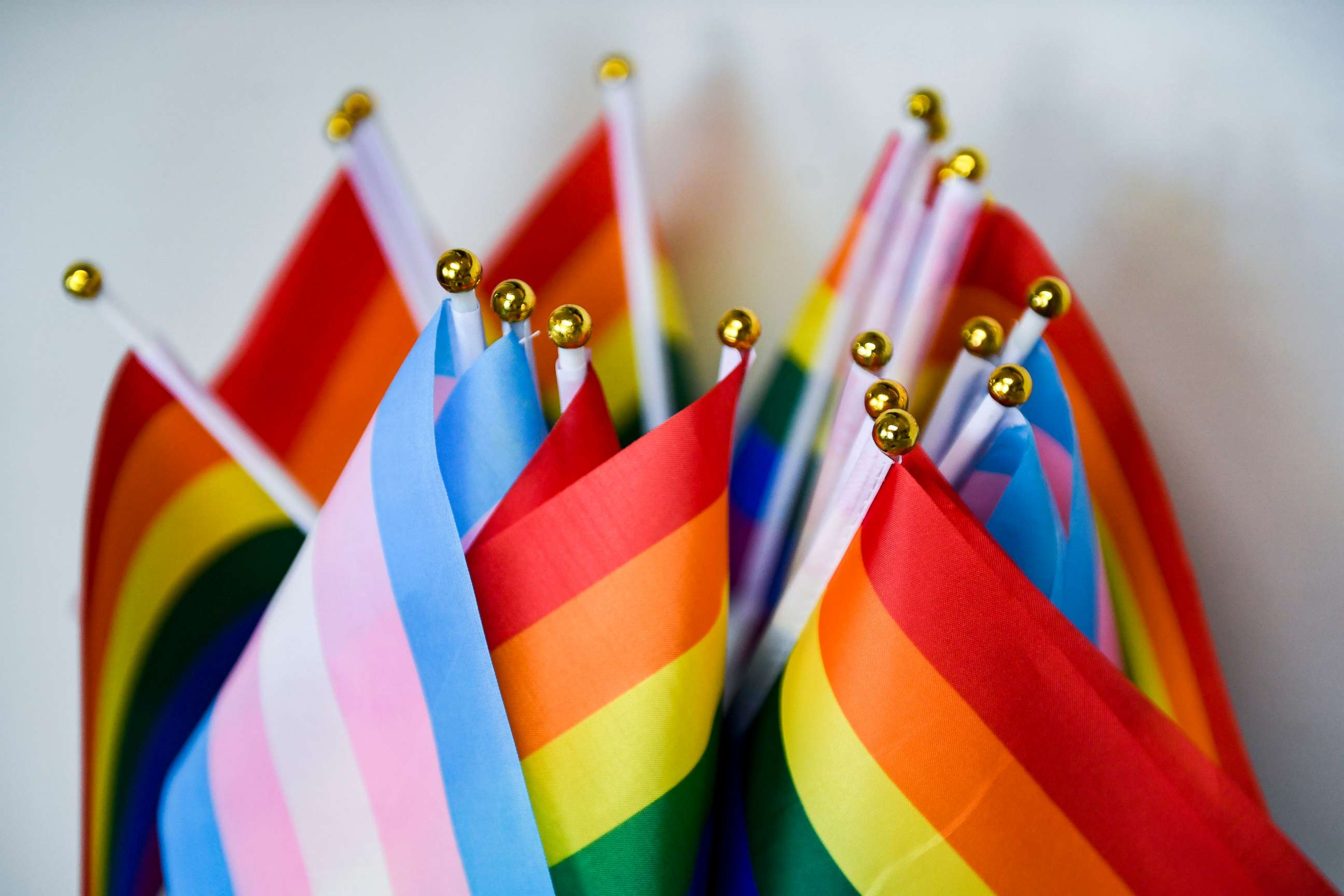 PHOTO: A collection of small Pride Flags, and Transgender Pride Flags, April 6, 2021, in Reading, PA.