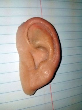 PHOTO: In this photo made available by the City of Holmes Beach Police Department, a prosthetic ear is displayed on June 20, 2019. The ear was found in the sand after the Worlds Strongest Man contest on June 15, 2019.