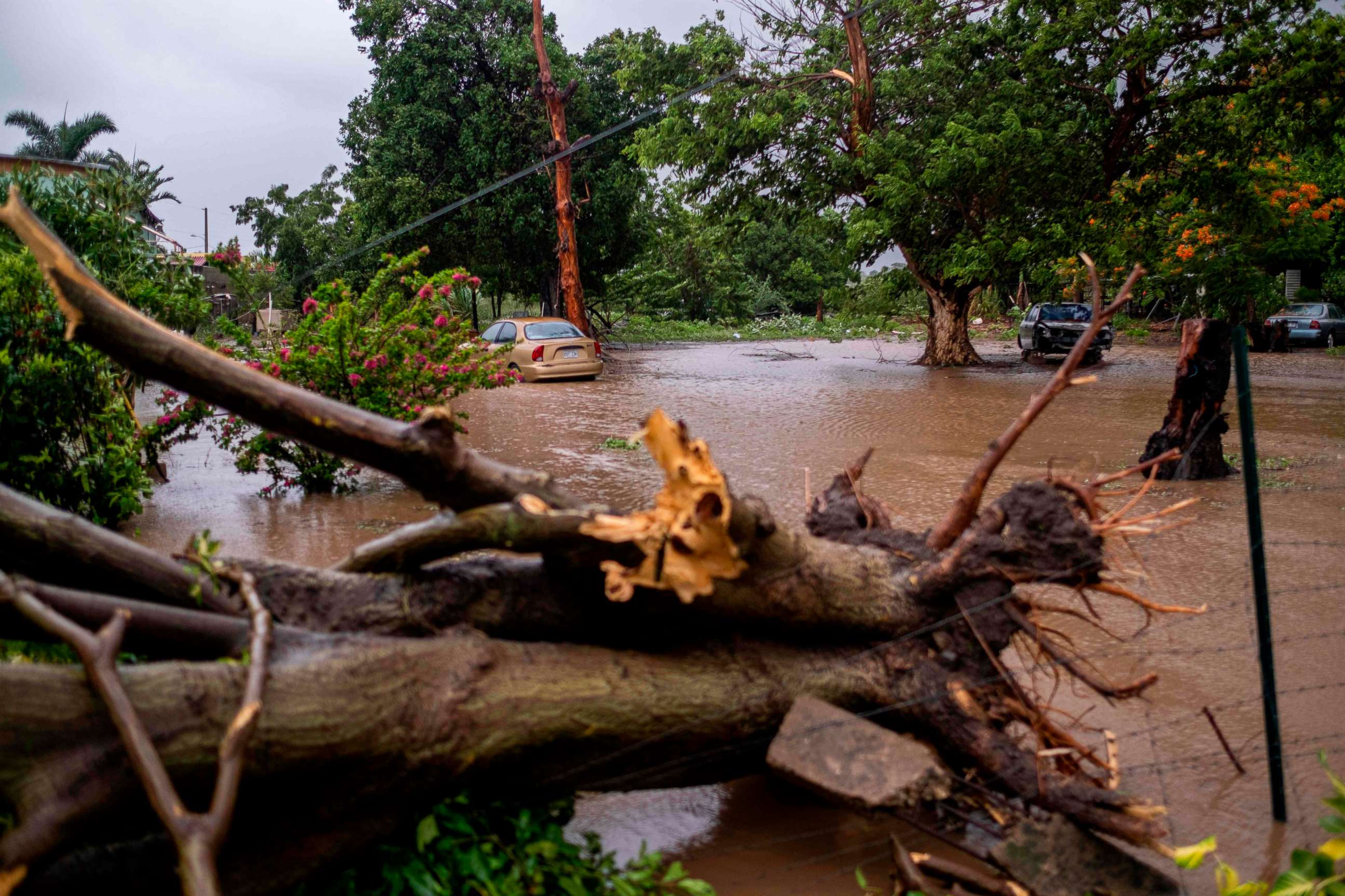 PHOTO: A flooded area and a downed tree caused by Tropical Storm Laura in Salinas, Puerto Rico, on Aug. 22, 2020.