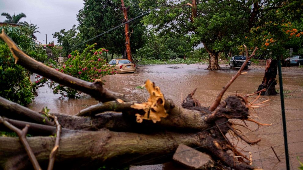 PHOTO: A flooded area and a downed tree caused by Tropical Storm Laura in Salinas, Puerto Rico, on Aug. 22, 2020.
