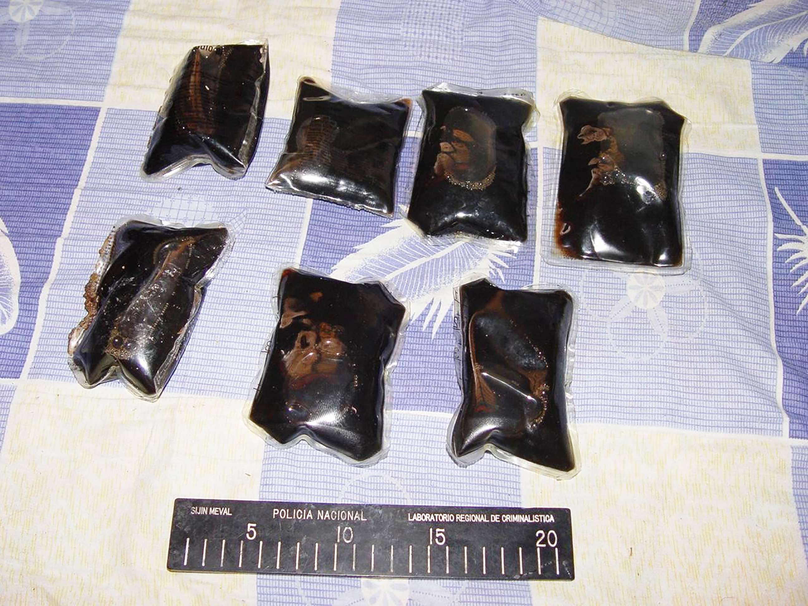 PHOTO: Bags of liquid heroin were surgically placed into the bellies of puppies being transported into the U.S.