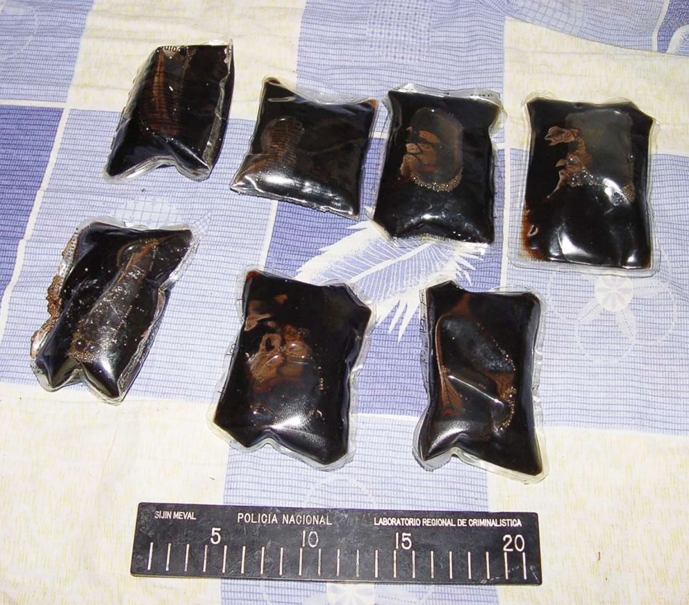 PHOTO: Bags of liquid heroin were surgically placed into the bellies of puppies being transported into the U.S.