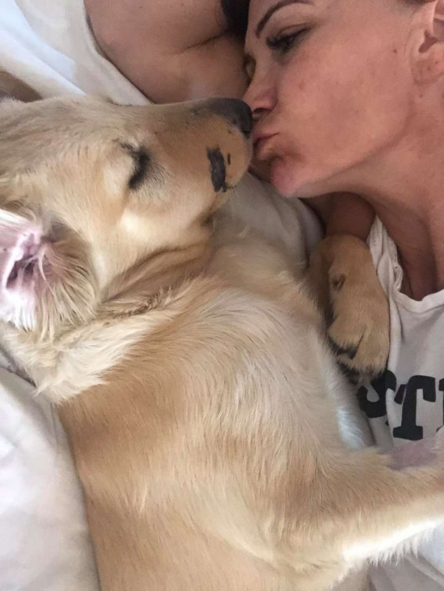 PHOTO: Todd, 6-month-old golden retriever was bitten by a rattlesnake during a walk with his owner on a trail in Anthem, Ariz., June 29, 2018. 