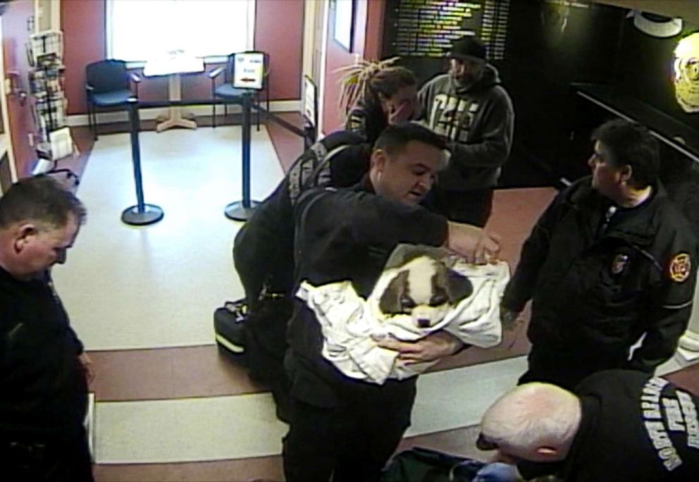 PHOTO: North Reading police officers and firefighters are captured on surveillance video saving a choking puppy.