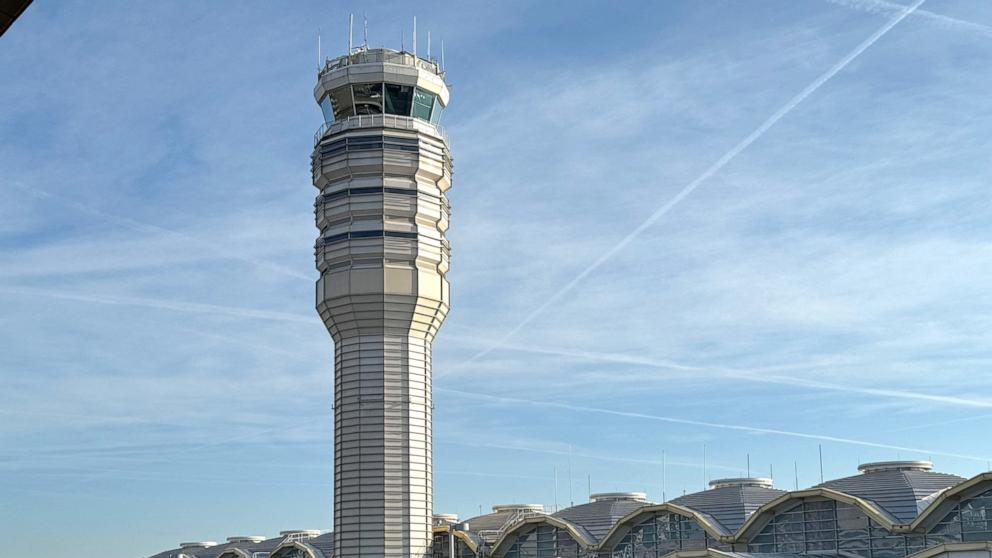 'Meow, meow': Pilots scolded after animal noises heard on air traffic control frequency